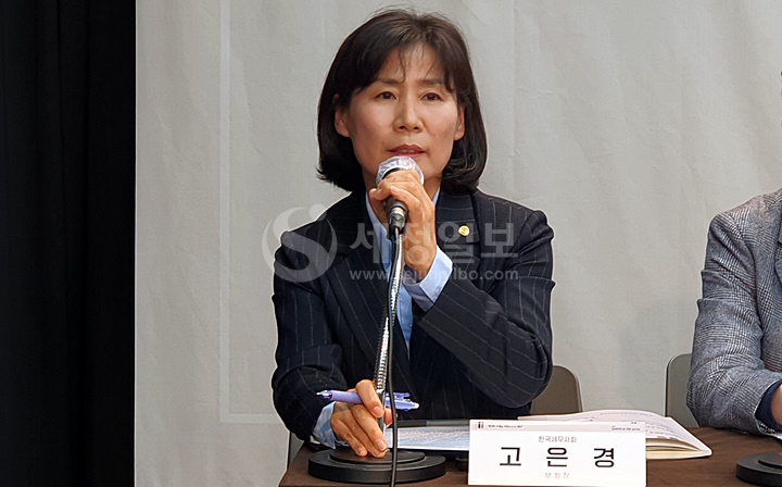 고은경 한국세무사회 부회장이 의견을 발표하고 있다.