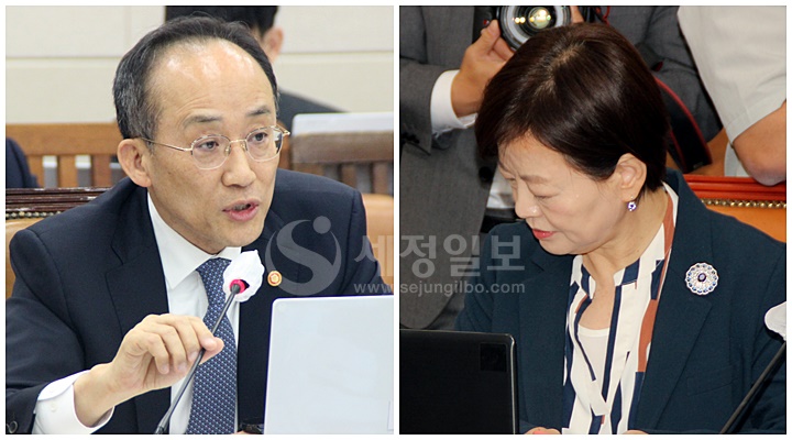추경호 부총리(좌)와 진선미 의원(우)