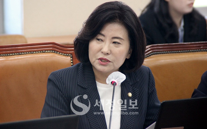 10일 국회에서 열린 기획재정위원회 국세청 국정감사에서 질의하고 있는 더불어민주당 양경숙 의원.