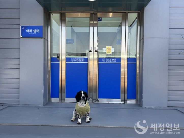  공사 후 은퇴견 전용 견사