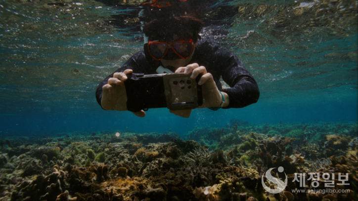 삼성전자가 해양 보호를 위해 갤럭시 카메라 기술을 활용한 해양 생태계 복원 프로젝트 ‘코랄 인 포커스(Coral in Focus)’를 위해 산호초를 찍고 있는 모습 (사진-삼성전자 제공)