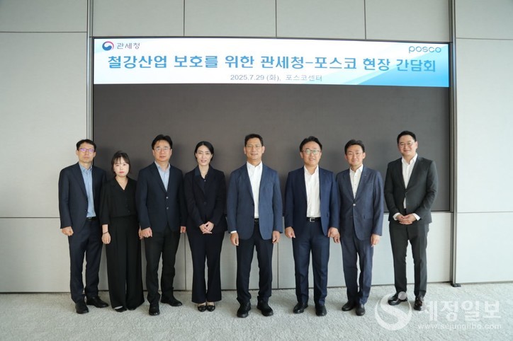 손성수 관세청 심사국장(사진 중앙)은 29일 서울 포스코 사무소를 방문해 철강업계 관계자들과 관세행정 지원 현장 간담회를 가졌다.[관세청 제공]