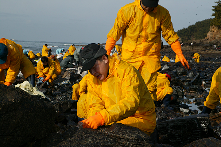 2007년 태안지역 기름유출사고 피해 복구에 참여한 당시 국세청장과 국세청 직원들이 해변에 범벅이 된 기름때를 지우는 작업을 하고 있다,