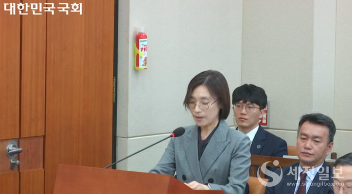 12일 국회 기재위 전체회의에서 정지은 기재위 전문위원이 세법개정안 검토보고를 하고 있다.