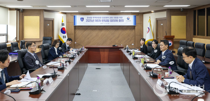 손성수 관세청 심사국장(오른쪽에서 세번째)이 12일 정부대전청사에서 산업통상부 무역위원회와 '반덤핑 협의체' 회의를 주관하고 있다